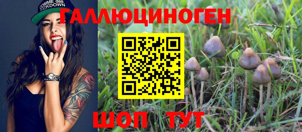 Псилоцибиновые грибы Magic Shrooms  Вход с VPN  Альметьевск  Псилоцибиновые грибы Psilocybine cubensis 