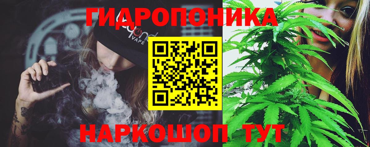 Альметьевск  Шишки марихуана White Widow  Вход с VPN  Шишки марихуана Ganja  Шишки марихуана THC 21% 